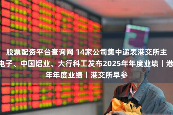 股票配资平台查询网 14家公司集中递表港交所主板；TCL电子、中国铝业、大行科工发布2025年年度业绩丨港交所早参